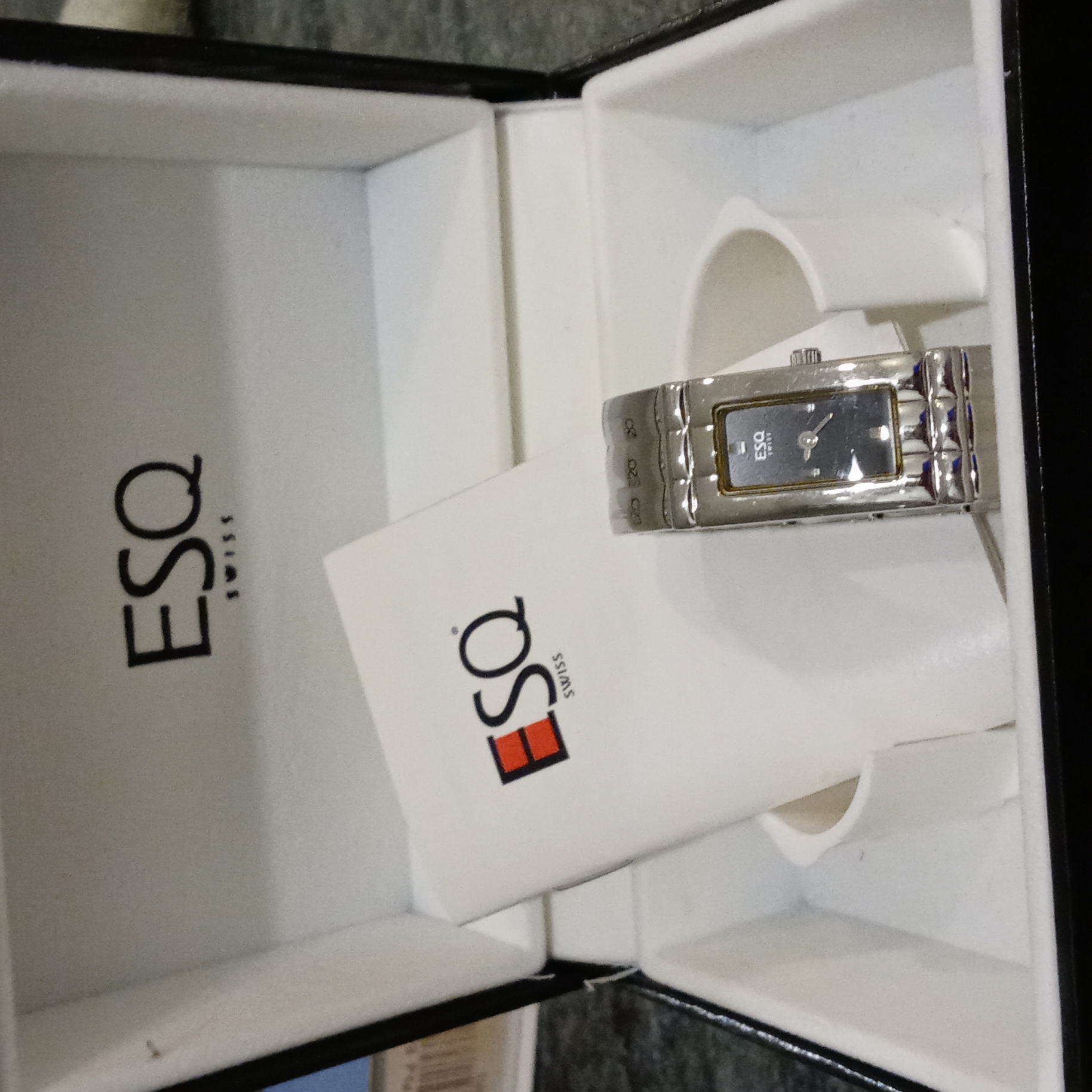 Esq Swiss Watch